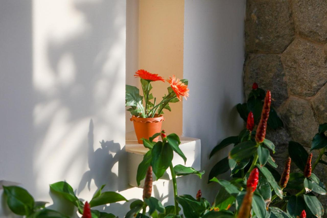Prima Villas Karon Phuket Ban Karon ภายนอก รูปภาพ